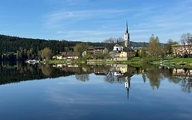 Wellness&Spa Apartments Lipno - Frymburk